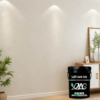 شیل فلیک پینٹ