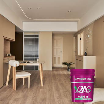 ٹھوس رنگین فرش پینٹ