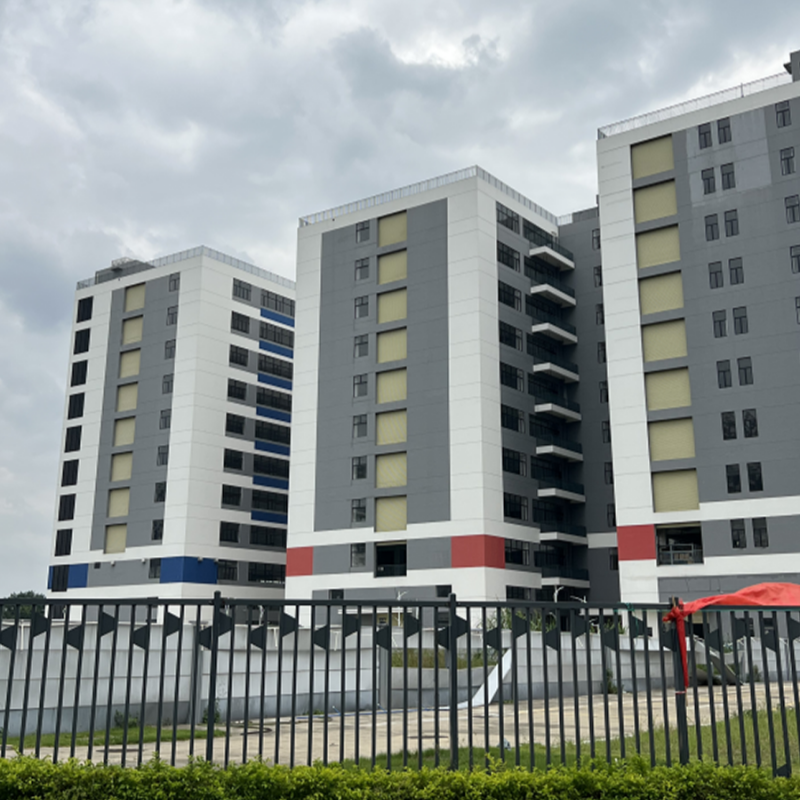 China Construction International · Intelligent Manufacturing Future Port (Shunde Jun'an) Flexible Exterior Wall Coating Project Case